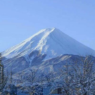 megagba免费下载